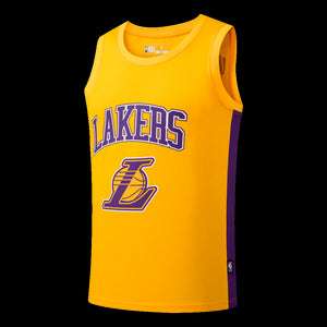 NBA Player Basic Kids Jersey - James Los Angeles Lakers