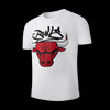 NBA Front Print Regular Fit T-Shirt - BULLS