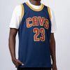 LeBron James 2015 Cleveland Cavaliers Hardwood Classic Swingman Alternate NBA Jersey