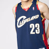 LeBron James 2008 Cleveland Cavaliers Hardwood Classic Swingman Alternate NBA Jersey