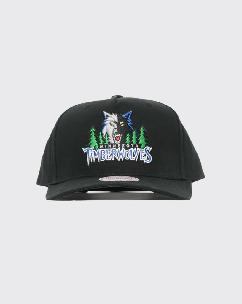 Mitchell & Ness Minnesota Timberwolves Team Colour Logo MVP Snapback