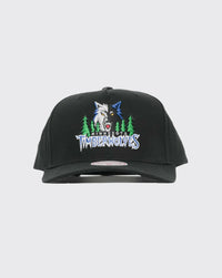 Mitchell & Ness Minnesota Timberwolves Team Colour Logo MVP Snapback