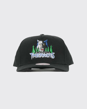 Mitchell & Ness Minnesota Timberwolves Team Colour Logo MVP Snapback