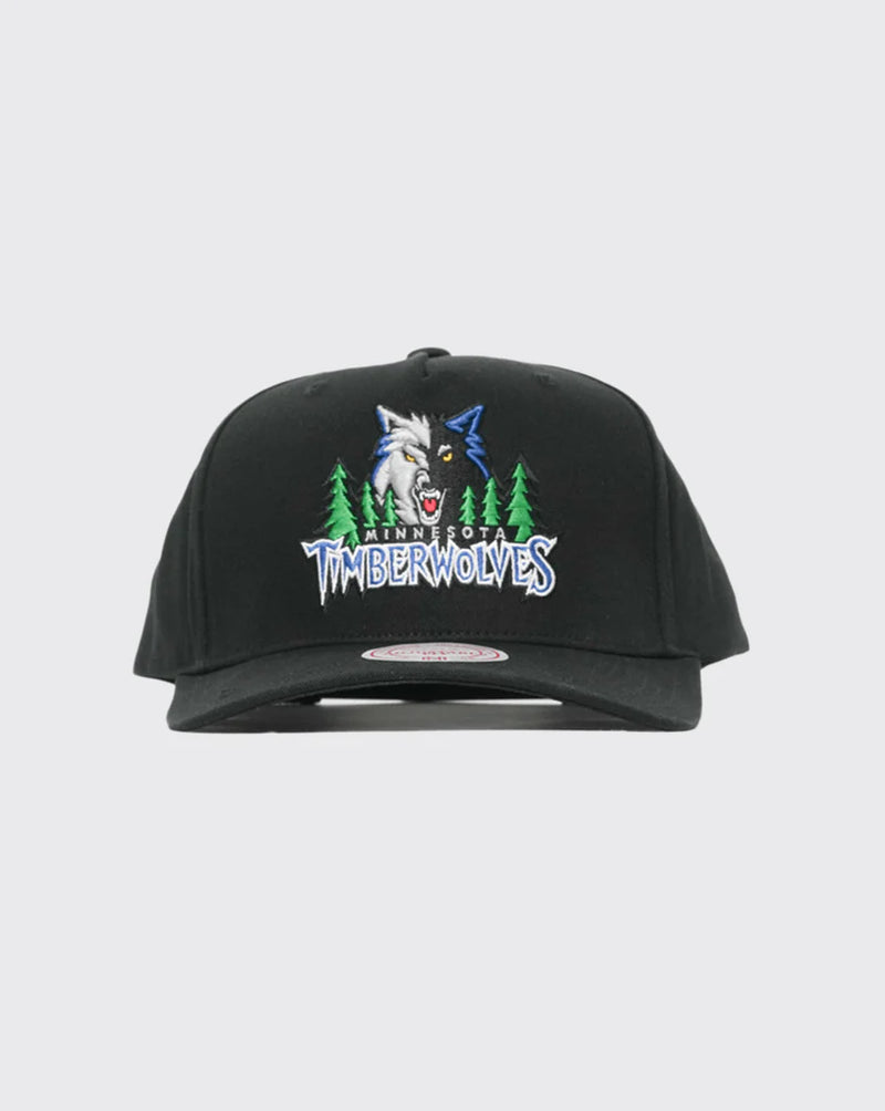 Mitchell & Ness Minnesota Timberwolves Team Colour Logo MVP Snapback