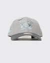 Mitchell & Ness Vancouver Grizzlies Blue Moon Pro Crown Cap