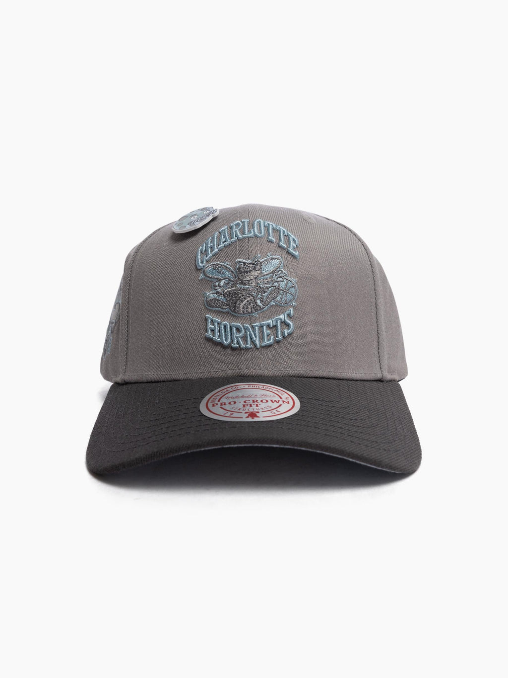 Mitchell & Ness Charlotte Hornets Blue Moon Pro Crown Cap