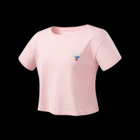 NBA Back Holographic Print Boxy Fit T-shirt - Chicago Bulls