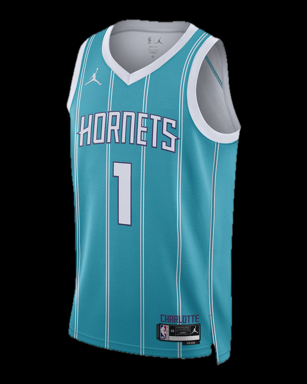 Lamelo Ball Charlotte Hornets Icon Edition 22/23 Jordan NBA Jersey