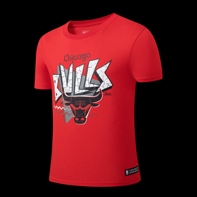 NBA Chicago Bulls Front Cracked And Puff Print Regular Fit