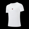 NBA Distressed Front Print Regular Fit T-Shirt - Chicago Bulls