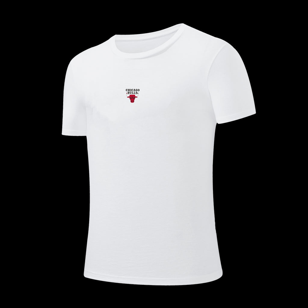 NBA Distressed Front Print Regular Fit T-Shirt - Chicago Bulls