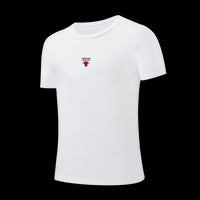 NBA Distressed Front Print Regular Fit T-Shirt - Chicago Bulls