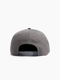Mitchell & Ness Charlotte Hornets Blue Moon Pro Crown Cap