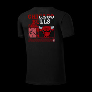 NBA Distressed Front Print Regular Fit T-Shirt - Chicago Bulls