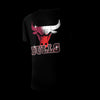 NBA Back Gradient Print Regular Fit T-Shirt - Chicago Bulls