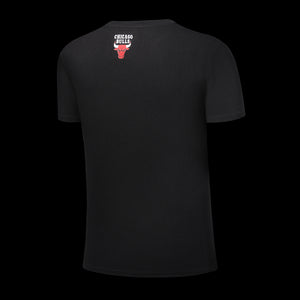 NBA Chicago Bulls Granite Men's Crew Neck T-Shirt