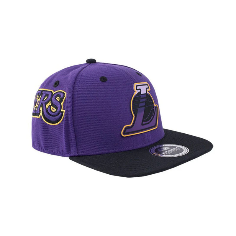 NBA Patch Logo Flex Fit Flat Cap - Los Angeles Lakers