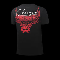 NBA Chicago Bulls Write Up Men's Crew Neck T-Shirt