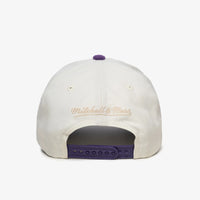 Toronto Raptors Corduroy Visor Pro Crown Snapback