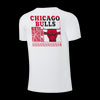 NBA Distressed Front Print Regular Fit T-Shirt - Chicago Bulls