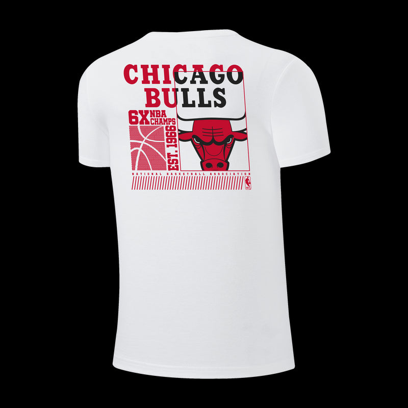 NBA Distressed Front Print Regular Fit T-Shirt - Chicago Bulls