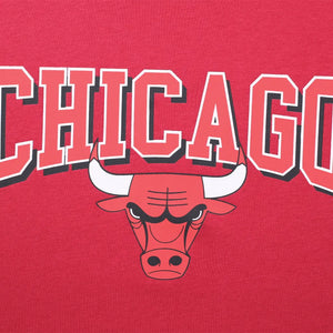NBA Team Logo Print Boxy Fit Cropped Top - Chicago Bulls