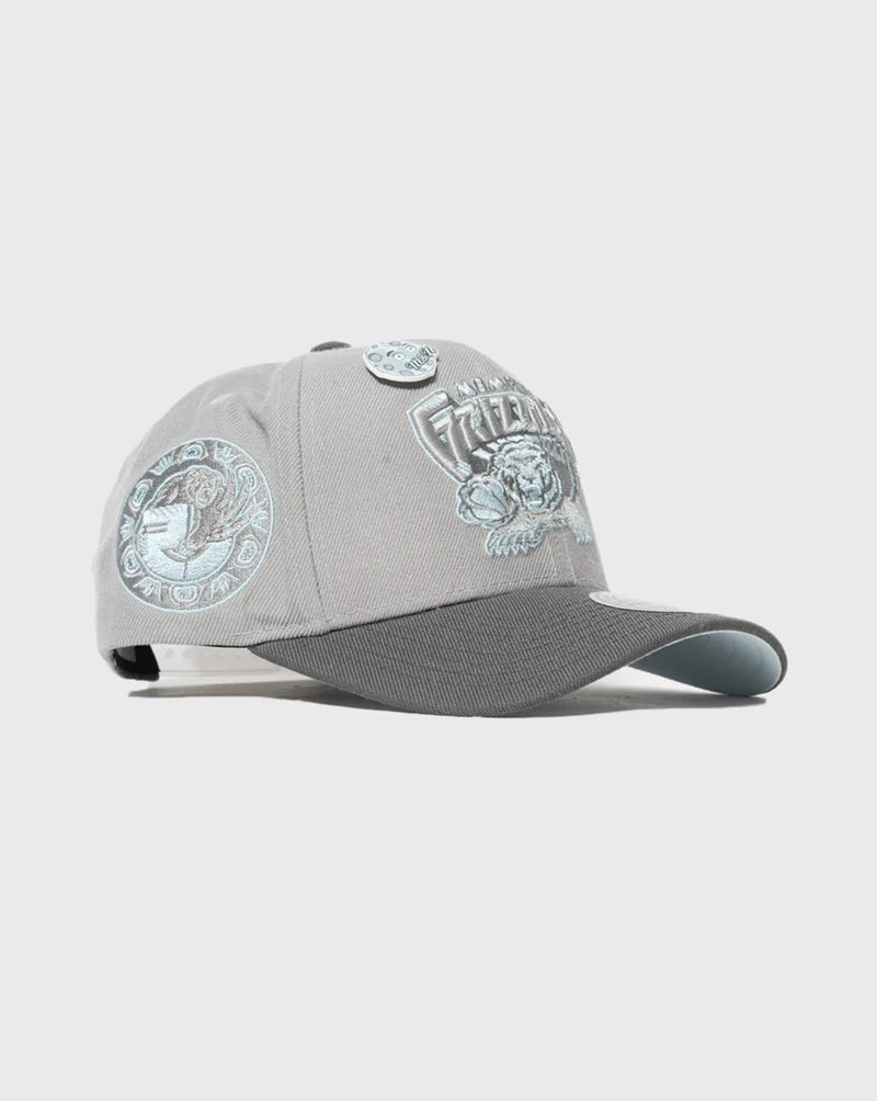 Mitchell & Ness Vancouver Grizzlies Blue Moon Pro Crown Cap
