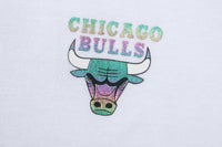 NBA Back Holographic Print Boxy Fit T-shirt - Chicago Bulls