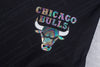 NBA Front Holographic Print Regular Fit Basketball Shorts - Bulls
