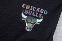 NBA Front Holographic Print Regular Fit Basketball Shorts - Bulls