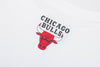 NBA BASICS PRIMARY LOGO T-SHIRT - WHITE