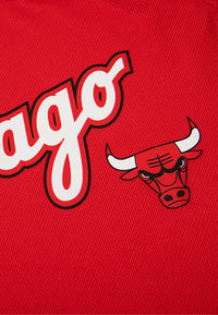 NBA Team Print Cropped Tank - BULLS