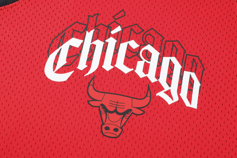 NBA Front Arch Print Regular Fit Mesh Tank Top - Chicago Bulls
