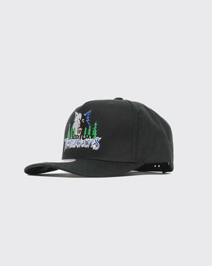 Mitchell & Ness Minnesota Timberwolves Team Colour Logo MVP Snapback