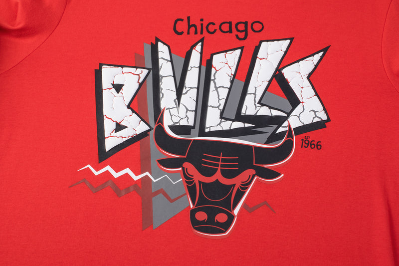 NBA Chicago Bulls Front Cracked And Puff Print Regular Fit