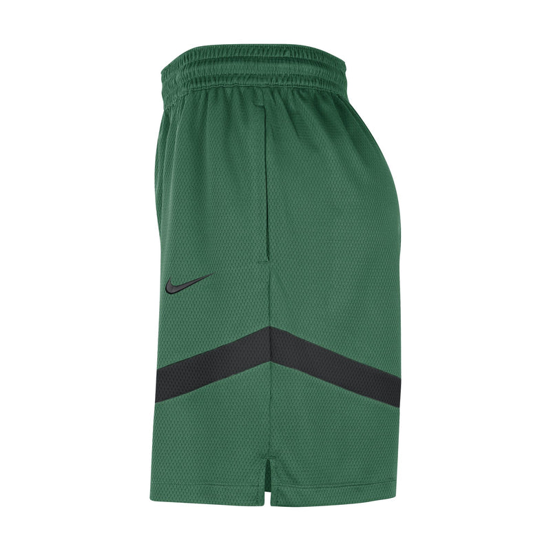 Boston Celtics Icon Practice Men's Nike Dri-FIT NBA Shorts