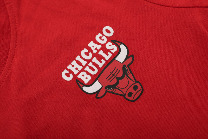 NBA Back Gradient Print Regular Fit T-Shirt - Chicago Bulls