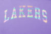 NBA Back Holographic Print Boxy Fit T-shirt - Los Angeles Lakers
