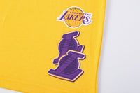 NBA Los Angeles Lakers Front Cracked And Puff Print Regular Fit