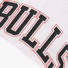 NBA Front Wordmark Print Boxy Fit Crop Top - Chicago Bulls