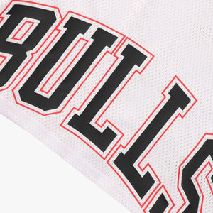 NBA Front Wordmark Print Boxy Fit Crop Top - Chicago Bulls