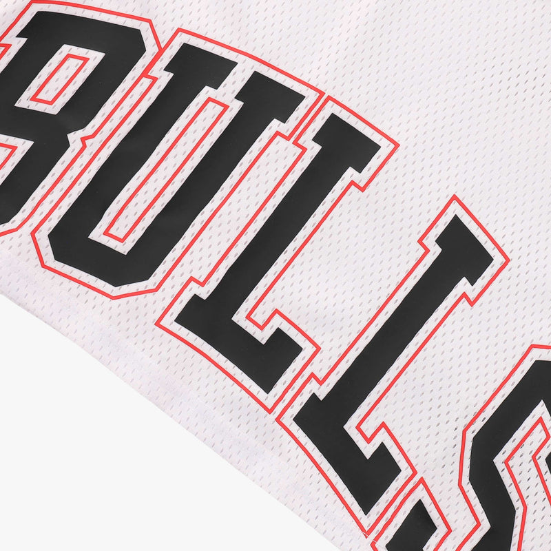 NBA Front Wordmark Print Boxy Fit Crop Top - Chicago Bulls
