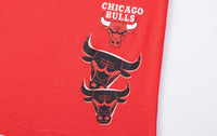 NBA Chicago Bulls Front Cracked And Puff Print Regular Fit