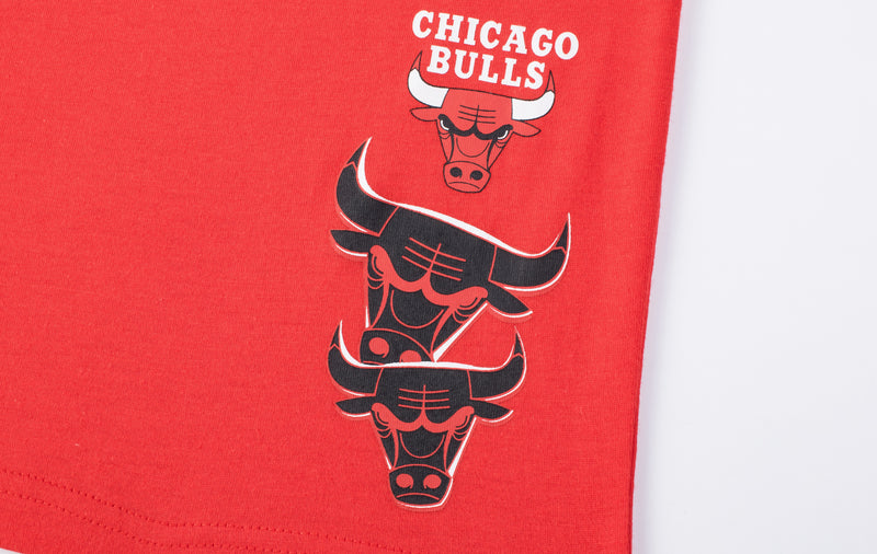 NBA Chicago Bulls Front Cracked And Puff Print Regular Fit