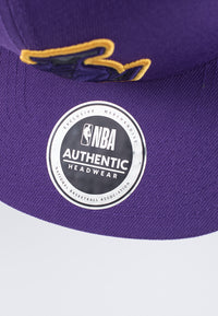 NBA Skin Flat Snap Back Cap - Los Angeles Lakers