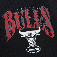 NBA SUGA GLITCH SHORTS BULLS