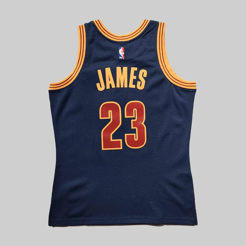 LeBron James 2015 Cleveland Cavaliers Hardwood Classic Swingman Alternate NBA Jersey