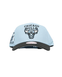 Mitchell & Ness 1998 Champions Pro Crown Bulls Cap