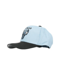 Mitchell & Ness 1998 Champions Pro Crown Bulls Cap