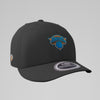 NBA Metallic Raised Embroidery Structured Curve Cap - New York Knicks